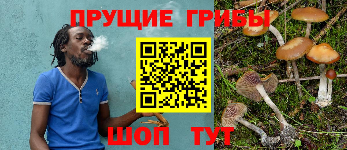 цена   Вход с VPN  Торжок  Псилоцибиновые грибы ЛСД 