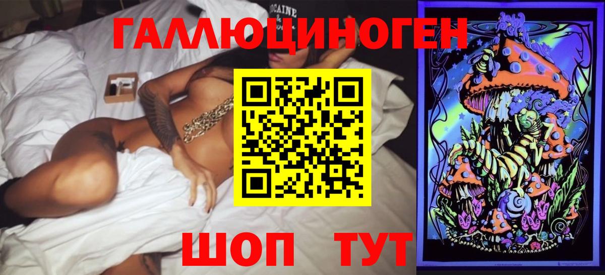 Псилоцибиновые грибы Cubensis Торжок